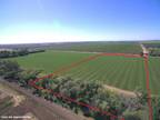 0 COUNTY ROAD 28, Winters, CA 95694 Agriculture For Rent MLS# 223043608