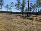 BIG BURN ROAD, Vancleave, MS 39565 Land For Sale MLS# 4033238