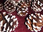 Pine Cones, Real Hand Painted, White Tipped