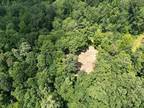 64 ACRES RILEY CREEK RD, WHITLEYVILLE, TN 38588 Land For Sale MLS# 219642
