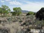 000 UPPER COLONY APN # 00909113, Smith, NV 89444 Land For Sale MLS# 230005438