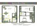 Townhouse Village Apartments - 2 Bedroom, 1.5 Bath Townhome