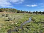 3557 COUNTY ROAD 307, Durango, CO 81303 Land For Sale MLS# 804601