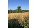 000 LIMESTONE ROAD, La Plata, MO 63549 Land For Sale MLS# 33232