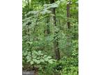 MAPLE AVENUE, MOUNT JACKSON, VA 22842 Land For Sale MLS# VASH2006120