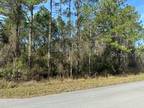 PARADISE LAKES AVE, GEORGETOWN, FL 32139 Land For Sale MLS# G5064372