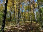 0 CARPINO, Andes, NY 13731 Land For Sale MLS# OD136611