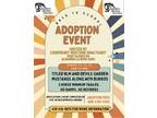 Mustang adoption event