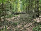 Plot For Sale In Danville, Vermont