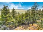 000 MIDDLE FORK VISTA, Fairplay, CO 80440 Land For Sale MLS# 2828791