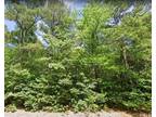 Plot For Sale In Robbins, North Carolina