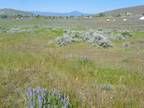 95015 HALF MILE RD, Chilcoot, CA 96105 Land For Sale MLS# 20230422