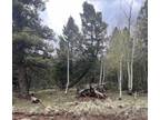 EL CAMINO REAL, Angel Fire, NM 87710 Land For Sale MLS# 110211