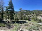 1425 MINERAL SPRING TRL, Alpine Meadows, CA 96145 Land For Sale MLS# 20231053