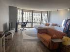 Condo For Rent In Chicago, Illinois