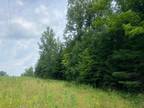 Plot For Sale In Park Falls, Wisconsin