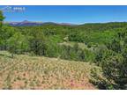 46 Hobo Court, Cripple Creek, CO 80813