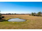 TBD COUNTY ROAD 228, Bedias, TX 77831 Land For Sale MLS# 82819147