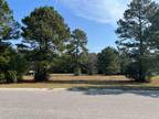 Tbd Professional Park Drive, Conway, SC 29526