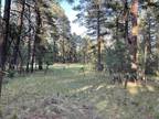 Plot For Sale In Cloudcroft, New Mexico