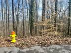 LOT 7 CARTER PLAZA DR. Gatlinburg, TN 37738 Land For Rent MLS# 255918