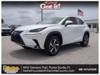 2021 Lexus NX 300 NX 300