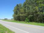 0 HIGHWAY 501, Rowland, NC 28383 Agriculture For Sale MLS# 100390877