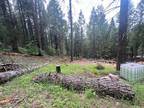 4864 ARCTIC LN, Grizzly Flats, CA 95636 Land For Rent MLS# 222136864