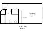 Hanley Place Senior Apartments - Studio