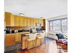 Condo For Rent In Manhattan, New York