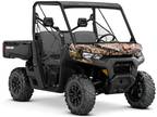 2020 Can-Am Defender DPS HD8