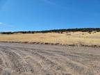 LOT 46 WINDSOR VALLEY RANCH # 46, Concho, AZ 85924 Land For Rent MLS# 6529246