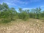 350 COUNTY ROAD 235, Santa Anna, TX 76878 Land For Sale MLS# 20316437