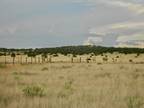 Plot For Sale In Moriarty, New Mexico