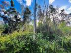 Plot For Rent In Pahoa, Hawaii