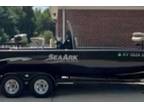 2019 Sea Ark BX220