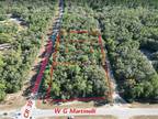 346 E WITHLACOOCHEE TRL, Dunnellon, FL 34434 Land For Rent MLS# 819205