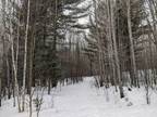 ON WOODLAND LN, Phillips, WI 54555 Land For Sale MLS# 195306