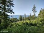 NNA T1-B GREEN MONARCH, Sandpoint, ID 83864 Land For Sale MLS# 23-2311