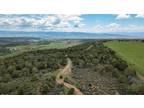 TBD P50 ROAD, Hotchkiss, CO 81419 Land For Sale MLS# 803330