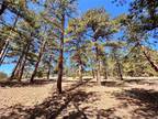 1493 Pinedale Ranch Circle Evergreen, CO -