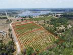 LAKE NELLIE RD, CLERMONT, FL 34711 Land For Sale MLS# G5067283