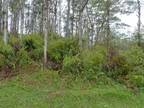 LANAI RD, PAHOA, HI 96778 Land For Rent MLS# 668710