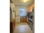 2 Bedroom 1 Bath In Brighton MA 02135