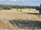 Show Low, 40 acres, remote, private, secluded