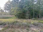 0 BLOOD RIVER RD, Springfield, LA 70462 Land For Sale MLS# [phone removed]
