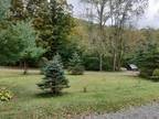 64 APEX RD, Hanbird, NY 13783 Single Family Residence For Sale MLS# OD136543