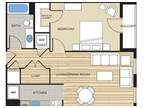 Clayborne Apartments - 1 Bed/ 1 Bath - A1A
