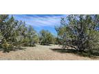 703 N EDWARDS RNCH ROAD, Ash Fork, AZ 86320 Land For Sale MLS# 1056231