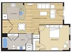 Clayborne Apartments - 1 Bed/ 1 Bath - A1K